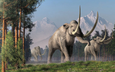 mamut-cisarsky-Mammuthus-columbi.jpg
