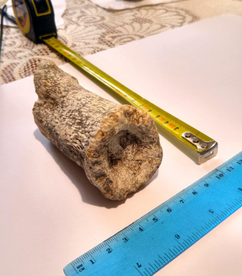 20210919_135644_HDR.jpg (678.99 KiB) Przejrzano 2813 razy 20210919_135644_HDR.jpg