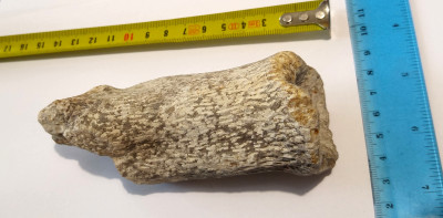 20210919_135640_HDR.jpg (500.44 KiB) Przejrzano 2813 razy 20210919_135640_HDR.jpg