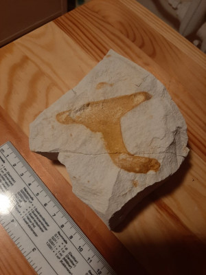 271244673_648956176292641_1631124274419448769_n.jpg (81.97 KiB) Przejrzano 2110 razy 271244673_648956176292641_1631124274419448769_n.jpg