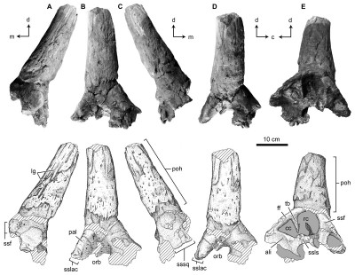 fig-2-2x.jpg