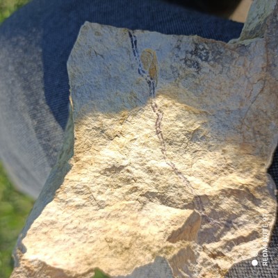 IMG_20220509_181552.jpg (3.37 MiB) Przejrzano 2825 razy IMG_20220509_181552.jpg