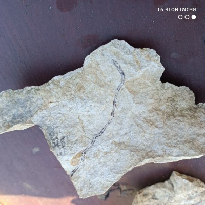 IMG_20220509_182228.jpg (3.07 MiB) Przejrzano 3036 razy IMG_20220509_182228.jpg