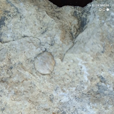 IMG_20220509_182239.jpg (2.2 MiB) Przejrzano 2821 razy IMG_20220509_182239.jpg