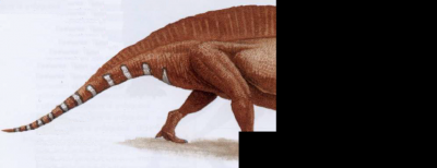 dimetrodon grandis.png