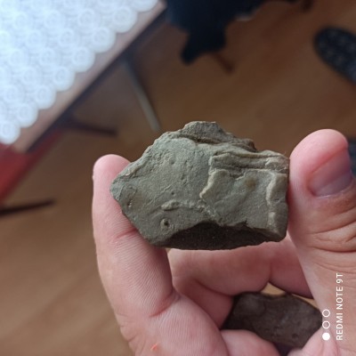 IMG_20220729_172943.jpg (2.41 MiB) Przejrzano 9939 razy IMG_20220729_172943.jpg