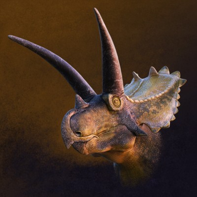 Coahuilaceratops.jpg