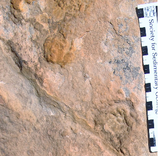 miocen.png
