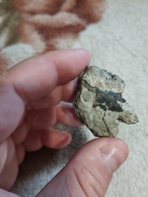 IMG_20230319_172741_Easy-Resize.com.jpg (75.74 KiB) Przejrzano 2433 razy IMG_20230319_172741_Easy-Resize.com.jpg