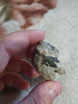 IMG_20230319_172806_Easy-Resize.com.jpg (93.45 KiB) Przejrzano 2724 razy IMG_20230319_172806_Easy-Resize.com.jpg