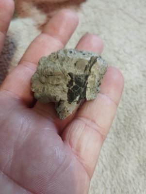 IMG_20230319_172856_Easy-Resize.com.jpg (77.12 KiB) Przejrzano 2433 razy IMG_20230319_172856_Easy-Resize.com.jpg