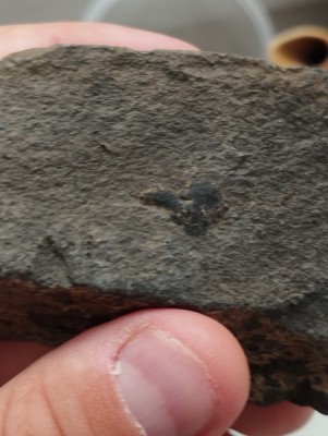 IMG_20230501_193954.jpg (3.89 MiB) Przejrzano 3804 razy IMG_20230501_193954.jpg