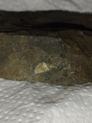 IMG_20230501_193516.jpg (3.01 MiB) Przejrzano 3528 razy IMG_20230501_193516.jpg