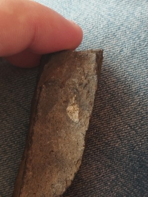 IMG_20230502_115159.jpg (3.4 MiB) Przejrzano 3780 razy IMG_20230502_115159.jpg