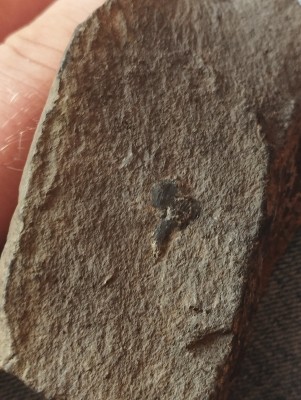 IMG_20230502_115144.jpg (3.92 MiB) Przejrzano 3511 razy IMG_20230502_115144.jpg