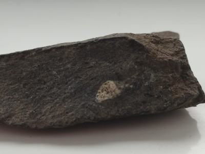 IMG_20230506_174655.jpg (2.8 MiB) Przejrzano 3704 razy IMG_20230506_174655.jpg