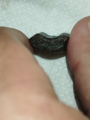 IMG_20230507_190429.jpg (2.32 MiB) Przejrzano 7367 razy IMG_20230507_190429.jpg