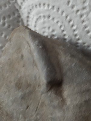 IMG_20230512_182051.jpg (2.48 MiB) Przejrzano 2932 razy IMG_20230512_182051.jpg