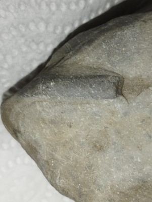 IMG_20230512_190224.jpg (3.18 MiB) Przejrzano 2926 razy IMG_20230512_190224.jpg