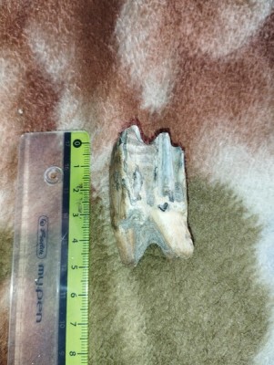 IMG_20230706_181230_Easy-Resize.com.jpg (93.49 KiB) Przejrzano 3111 razy IMG_20230706_181230_Easy-Resize.com.jpg