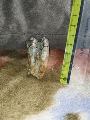 IMG_20230706_181442_Easy-Resize.com.jpg (95.7 KiB) Przejrzano 3111 razy IMG_20230706_181442_Easy-Resize.com.jpg