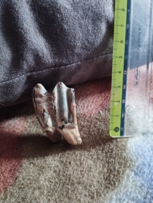 IMG_20230706_181514_Easy-Resize.com.jpg (89.84 KiB) Przejrzano 3112 razy IMG_20230706_181514_Easy-Resize.com.jpg