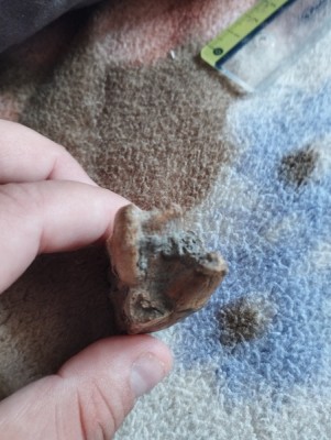 IMG_20230706_181601_Easy-Resize.com.jpg (88.54 KiB) Przejrzano 3112 razy IMG_20230706_181601_Easy-Resize.com.jpg