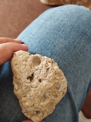 IMG_20230913_124709_Easy-Resize.com.jpg (92.45 KiB) Przejrzano 4952 razy IMG_20230913_124709_Easy-Resize.com.jpg