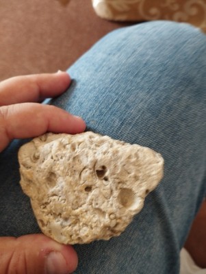 IMG_20230913_124718_Easy-Resize.com.jpg (84.18 KiB) Przejrzano 4952 razy IMG_20230913_124718_Easy-Resize.com.jpg