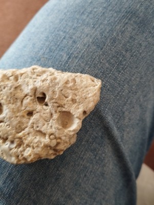 IMG_20230913_124727_Easy-Resize.com.jpg (91.44 KiB) Przejrzano 5540 razy IMG_20230913_124727_Easy-Resize.com.jpg