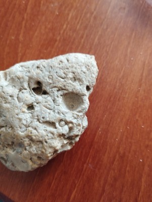 IMG_20230913_135805_Easy-Resize.com.jpg (89.38 KiB) Przejrzano 4943 razy IMG_20230913_135805_Easy-Resize.com.jpg