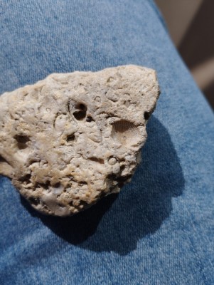 IMG_20230913_162922_Easy-Resize.com.jpg (96.33 KiB) Przejrzano 5517 razy IMG_20230913_162922_Easy-Resize.com.jpg