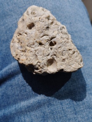 IMG_20230913_162934_Easy-Resize.com.jpg (92.83 KiB) Przejrzano 4929 razy IMG_20230913_162934_Easy-Resize.com.jpg