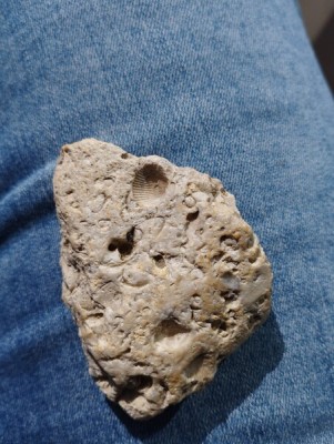 IMG_20230913_163010_Easy-Resize.com.jpg (89.16 KiB) Przejrzano 5517 razy IMG_20230913_163010_Easy-Resize.com.jpg