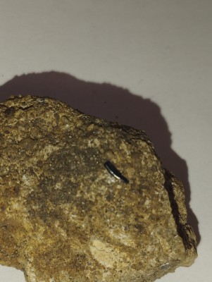 IMG_20231014_165737.jpg (2.91 MiB) Przejrzano 3561 razy IMG_20231014_165737.jpg