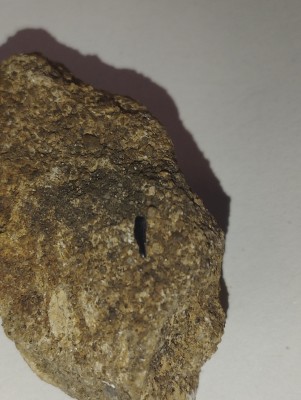 IMG_20231014_165759.jpg (3.24 MiB) Przejrzano 3561 razy IMG_20231014_165759.jpg