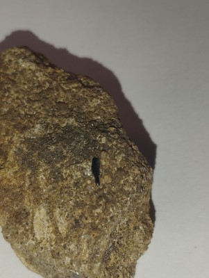 IMG_20231014_165802.jpg (3.18 MiB) Przejrzano 3561 razy IMG_20231014_165802.jpg