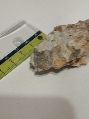 IMG_20231014_175451.jpg (2.78 MiB) Przejrzano 3596 razy IMG_20231014_175451.jpg