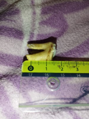 IMG_20231023_173643.jpg (4.72 MiB) Przejrzano 3045 razy IMG_20231023_173643.jpg