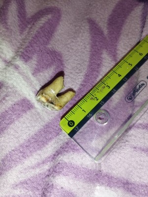 IMG_20231023_173606_Easy-Resize.com.jpg (91.03 KiB) Przejrzano 3042 razy IMG_20231023_173606_Easy-Resize.com.jpg