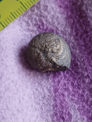 IMG_20231109_143537.jpg (3.07 MiB) Przejrzano 2730 razy IMG_20231109_143537.jpg