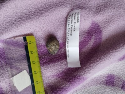 IMG_20231109_143457_Easy-Resize.com.jpg (92.14 KiB) Przejrzano 2945 razy IMG_20231109_143457_Easy-Resize.com.jpg