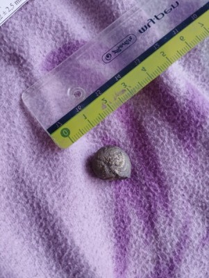 IMG_20231109_143528_Easy-Resize.com.jpg (90.84 KiB) Przejrzano 2719 razy IMG_20231109_143528_Easy-Resize.com.jpg