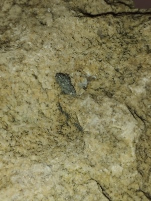 IMG_20231113_161919.jpg (3.56 MiB) Przejrzano 2715 razy IMG_20231113_161919.jpg