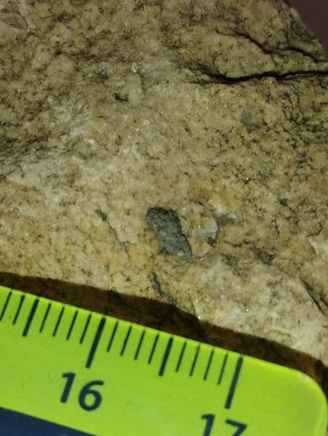 IMG_20231113_161950.jpg (3.31 MiB) Przejrzano 2943 razy IMG_20231113_161950.jpg