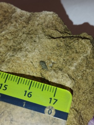 IMG_20231113_162004.jpg (3.83 MiB) Przejrzano 2715 razy IMG_20231113_162004.jpg