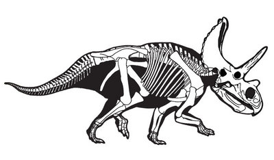 Rekonstrukcja szkieletu Agujaceratops z Sampson i in. 2010