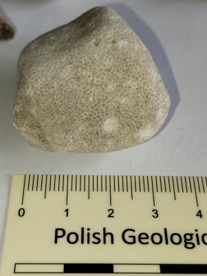 4. Okolice Polesia