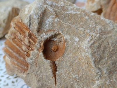 IMG_20240812_184523.jpg (2.49 MiB) Przejrzano 3705 razy IMG_20240812_184523.jpg