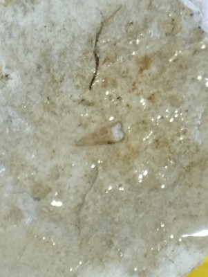 IMG_20240814_165333.jpg (1.7 MiB) Przejrzano 5070 razy IMG_20240814_165333.jpg